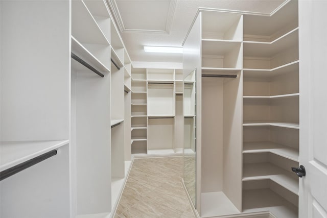 view of walk in closet