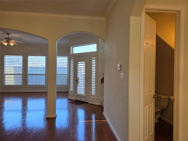 foyer entrance featuring ceiling fan, ornamental molding, a healthy amount of sunlight, and dark hardwood / wood-style flooring