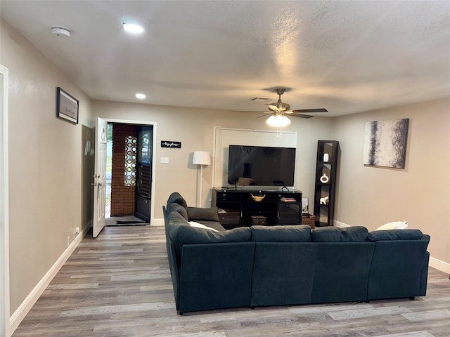 living room featuring ceiling fan, a textured ceiling, and light wood-type flooring