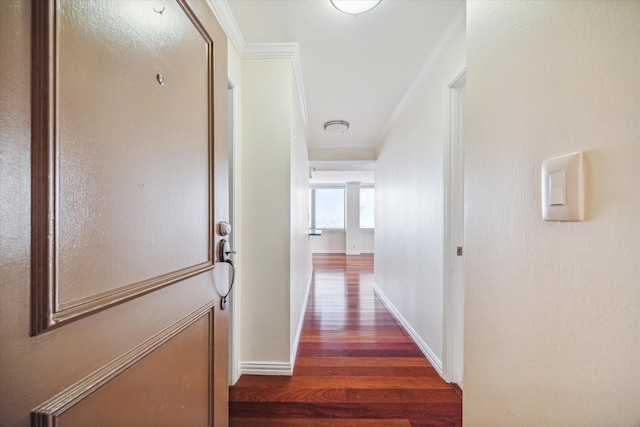 hall with crown molding and dark hardwood / wood-style floors