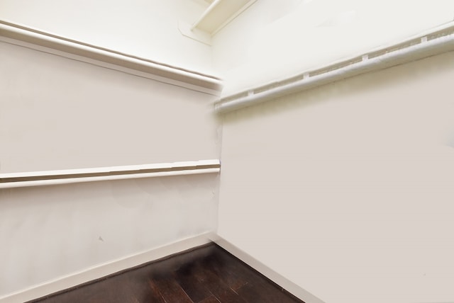 walk in closet featuring dark wood-type flooring