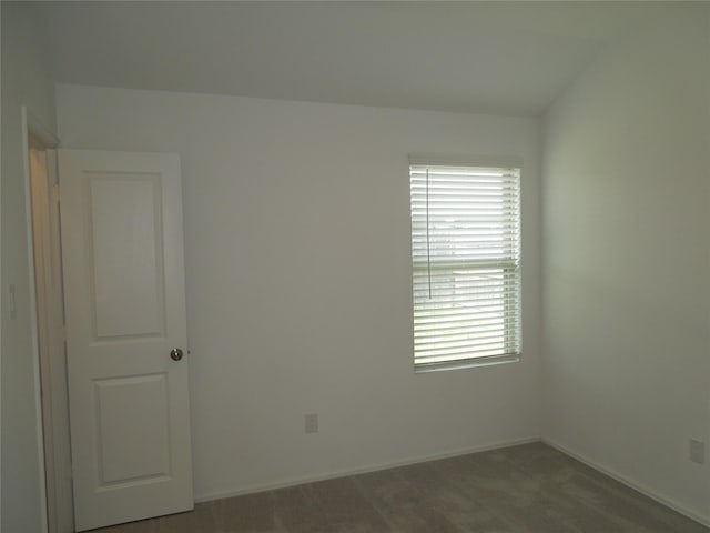 spare room with carpet flooring