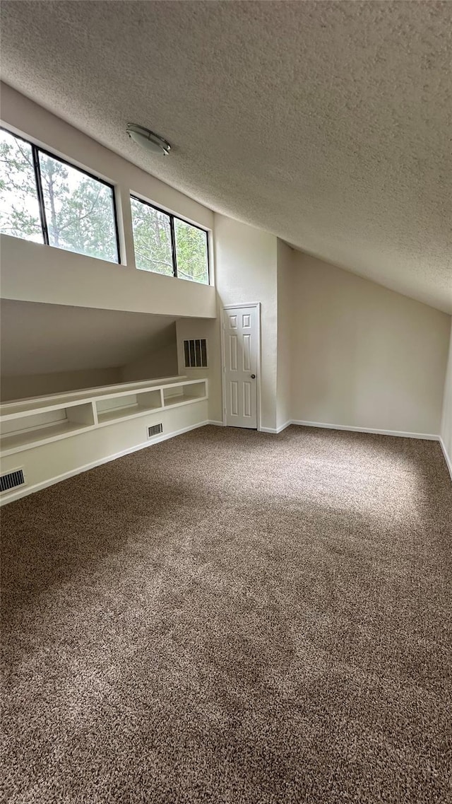 bonus room with carpet floors and a textured ceiling