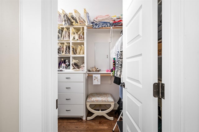 spacious closet featuring dark hardwood / wood-style flooring