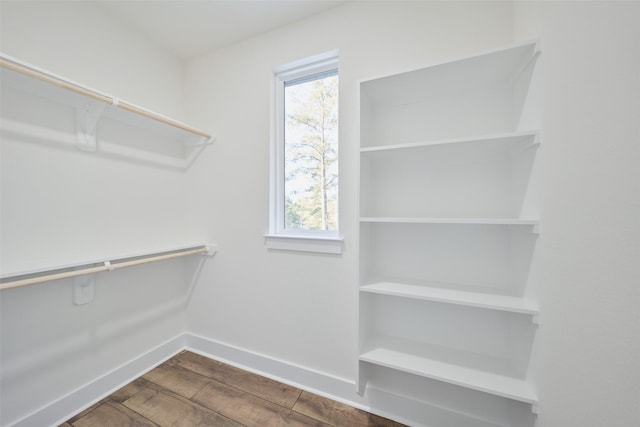 walk in closet featuring dark wood-type flooring