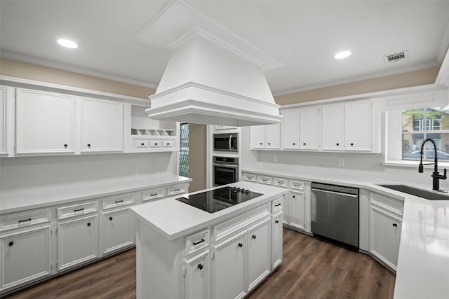 kitchen with premium range hood, sink, a kitchen island, stainless steel appliances, and white cabinets