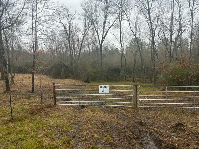 TBD Fm 942, Leggett TX, 77350 land for sale