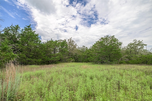 5611 S US Highway 77, Warda, TX 78960 - photo 15