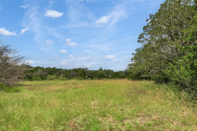 5611 S US Highway 77, Warda, TX 78960 - photo 16