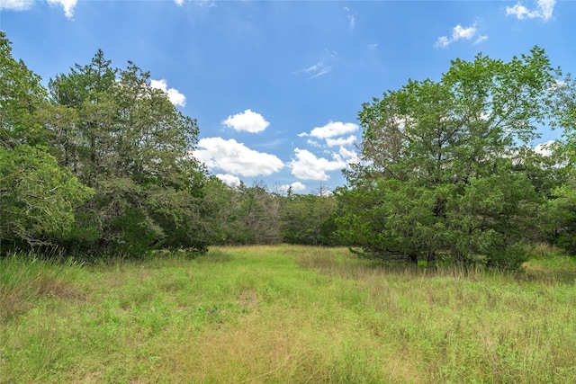 5611 S US Highway 77, Warda, TX 78960 - photo 4