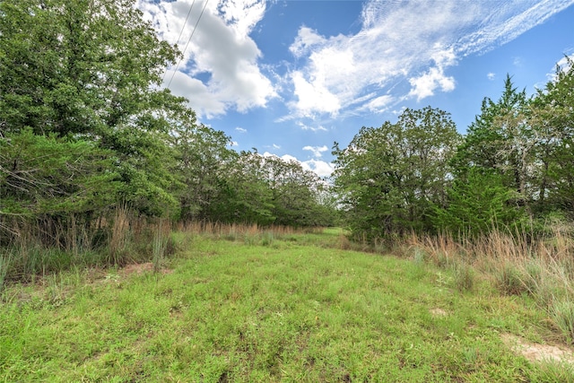 5611 S US Highway 77, Warda, TX 78960 - photo 5