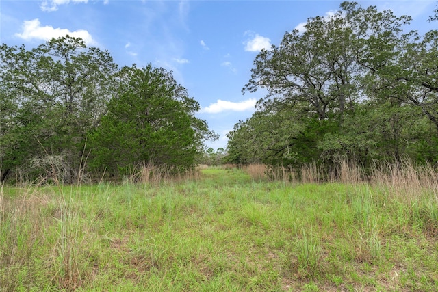 5611 S US Highway 77, Warda, TX 78960 - photo 6
