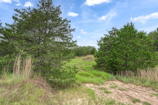 5611 S US Highway 77, Warda, TX 78960 - photo 7