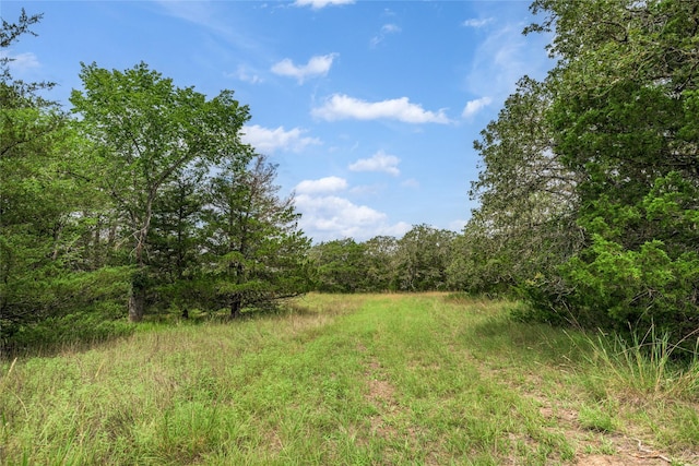 5611 S US Highway 77, Warda, TX 78960 - photo 8