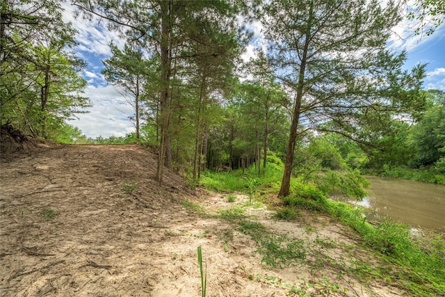 5611 S US Highway 77, Warda, TX 78960 - photo 12
