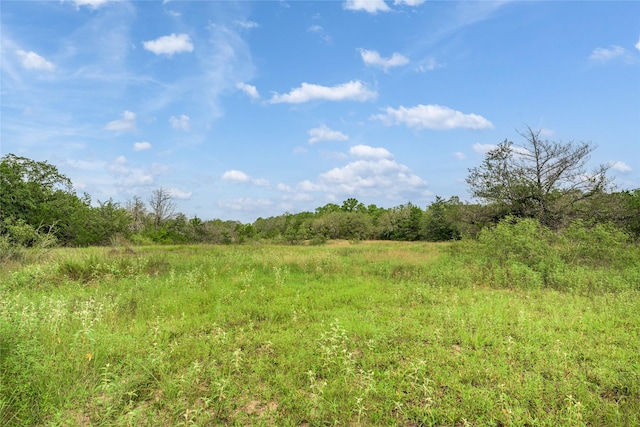 5611 S US Highway 77, Warda, TX 78960 - photo 17