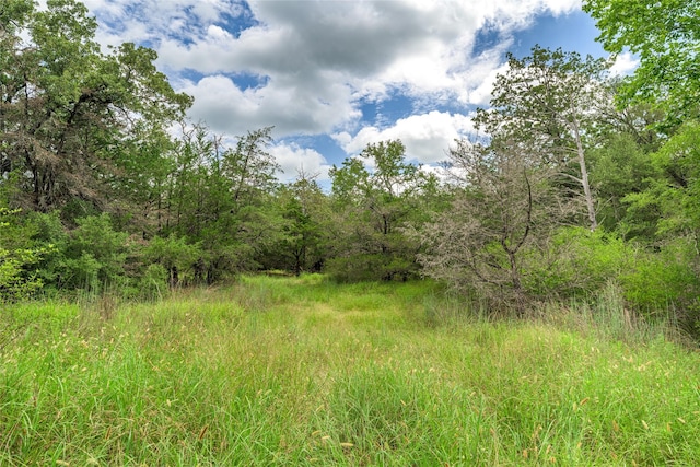 5611 S US Highway 77, Warda, TX 78960 - photo 18