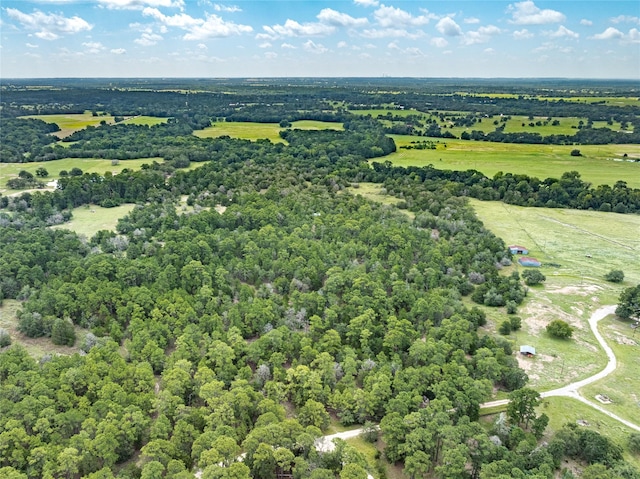 5611 S US Highway 77, Warda, TX 78960 - photo 19