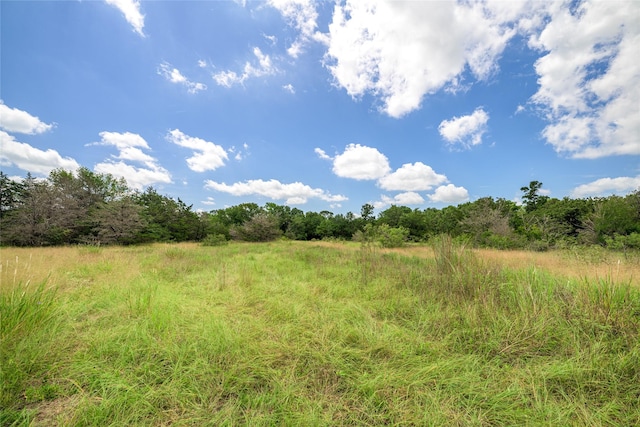 5611 S US Highway 77, Warda, TX 78960 - photo 20
