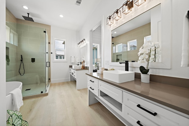 bathroom featuring wood-type flooring, a shower with door, and vanity