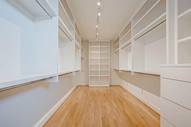 spacious closet with hardwood / wood-style floors