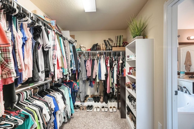 spacious closet featuring carpet