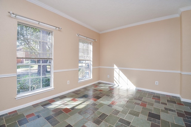 empty room featuring crown molding