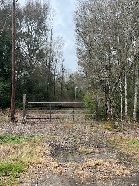 Listing photo 3 for TBD Fm 163, Cleveland TX 77327