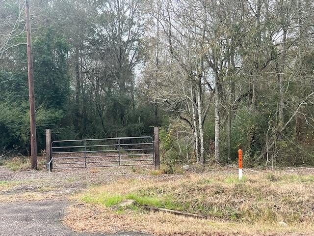 TBD Fm 163, Cleveland TX, 77327 land for sale