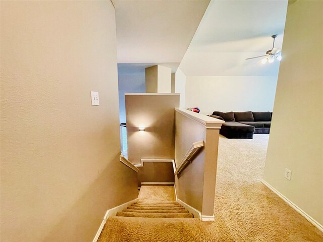 staircase featuring carpet flooring and ceiling fan