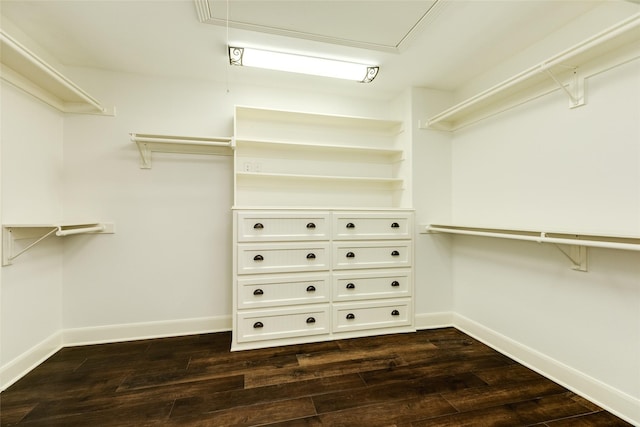 spacious closet with dark hardwood / wood-style floors