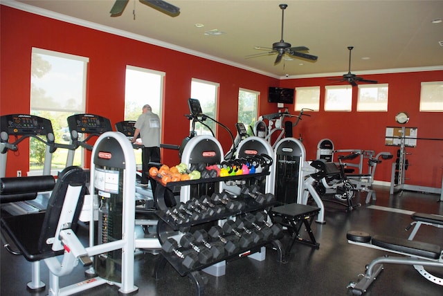 gym featuring crown molding, a wealth of natural light, and ceiling fan