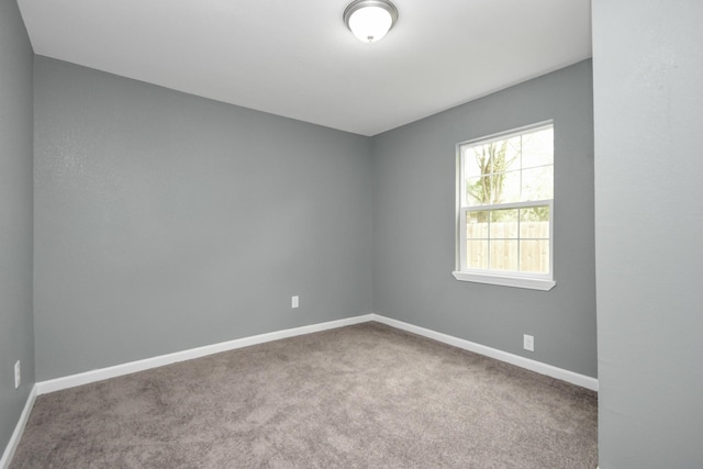 unfurnished room with carpet