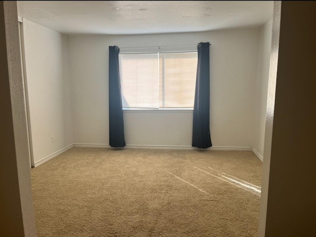 spare room featuring light carpet