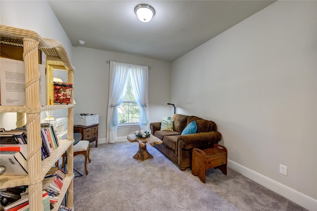 sitting room with carpet floors and baseboards