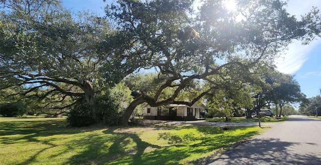 view of front facade featuring a front yard