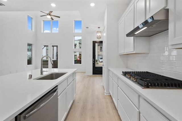 kitchen featuring tasteful backsplash, white cabinetry, sink, light hardwood / wood-style floors, and stainless steel appliances