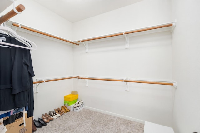 walk in closet with carpet floors