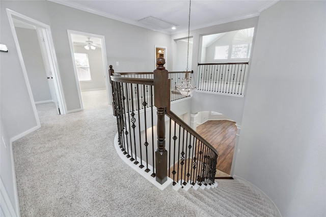 staircase with carpet floors, attic access, baseboards, and ornamental molding