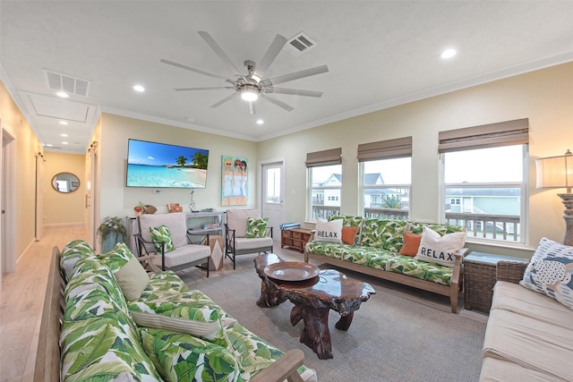 living room with ceiling fan, ornamental molding, and light hardwood / wood-style floors