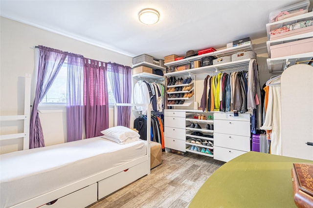 spacious closet with wood-type flooring