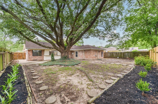 view of yard with a patio area