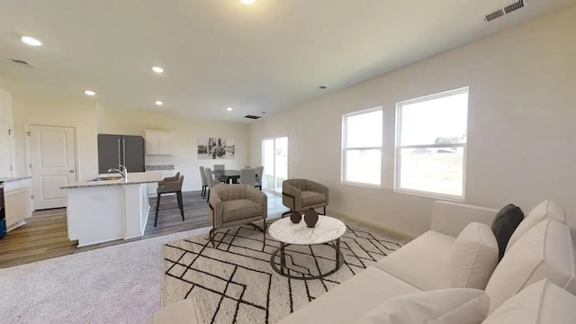 living room featuring sink and light hardwood / wood-style flooring