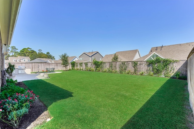 view of yard featuring a patio area