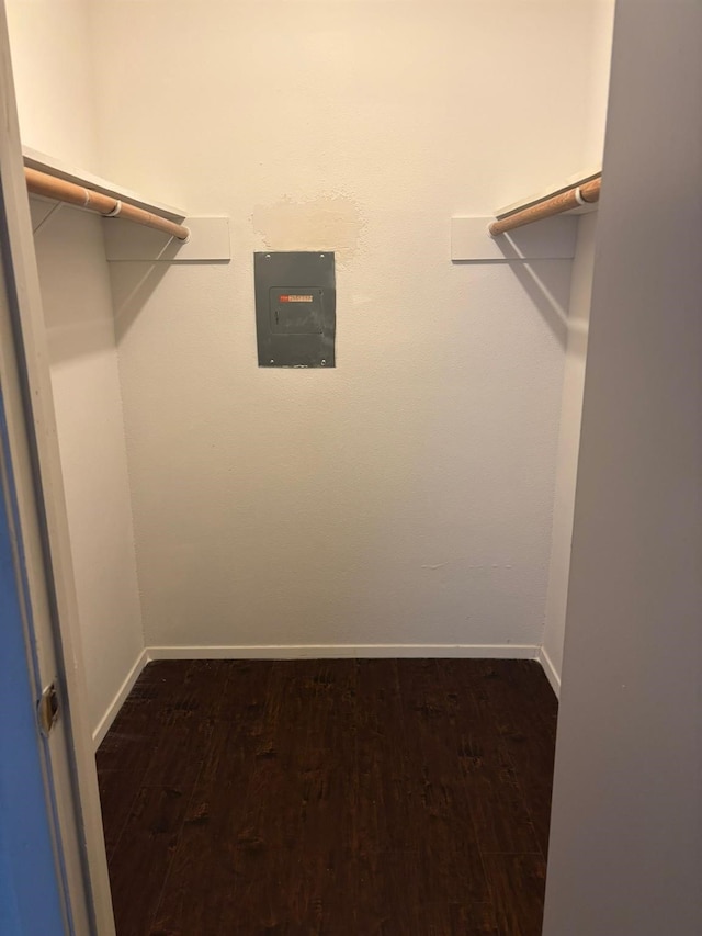 walk in closet featuring electric panel and dark hardwood / wood-style flooring