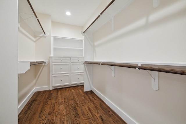 spacious closet featuring dark hardwood / wood-style flooring