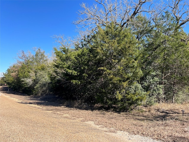 Listing photo 3 for TBD Vikings Veer, Somerville TX 77879