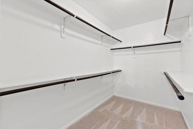 walk in closet featuring light colored carpet