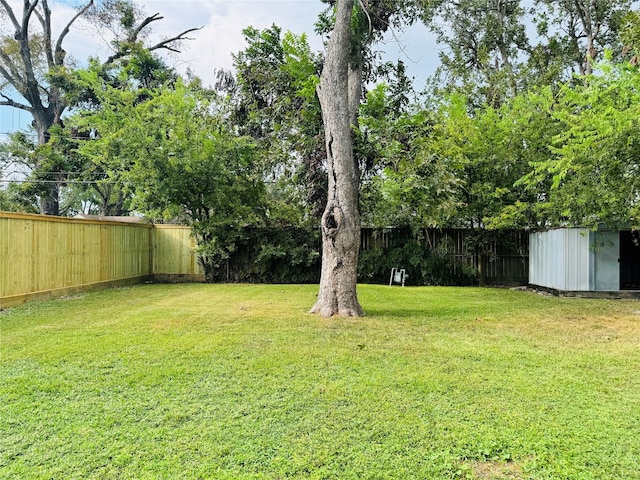 view of yard featuring a storage shed