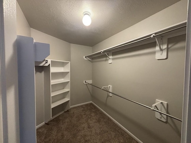 walk in closet with dark colored carpet